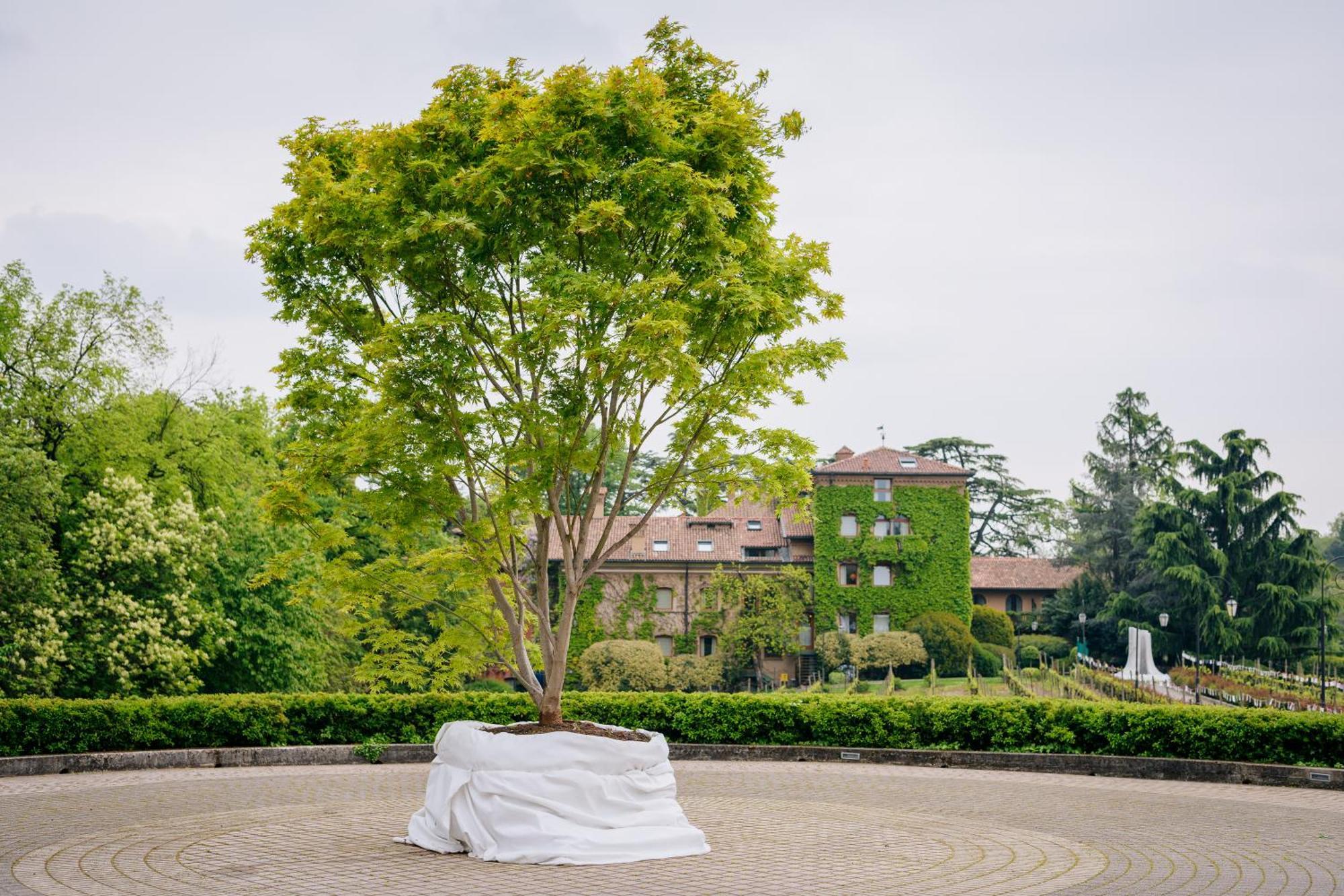 L'Albereta Relais & Chateaux Hotel Erbusco Exterior photo